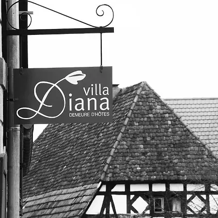 Diana * Molsheim
